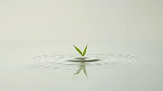 一叶知秋 - 轨道影院竹影清风影像