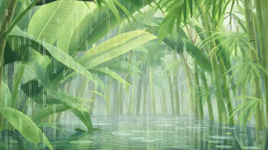 雨打芭蕉 - 轨道影院竹影清风影像