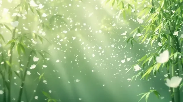 竹海晨雾 - 轨道影院竹影清风影像
